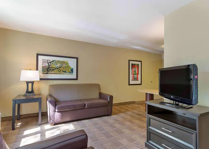 Best Hotels Near Phoenix Zoo for Unforgettable Stays