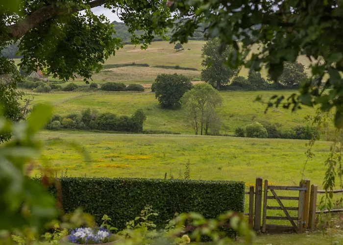 Top-Rated Petworth Hotels for Your Sussex Getaway