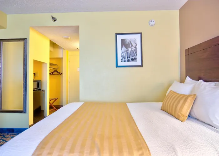Superb Tampa Hotels Offering Cruise Port Shuttle