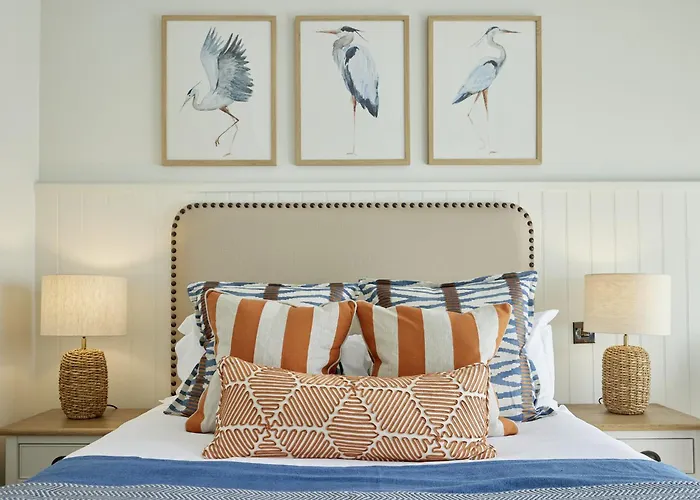 Top Dog Friendly Hotels in Tenby