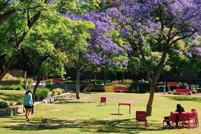 Grand Park